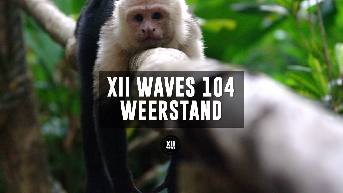 104 Weerstand